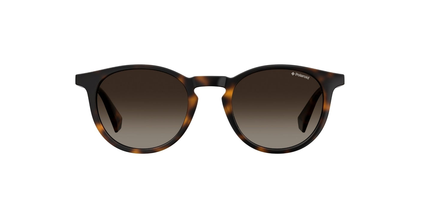 Lentes de Sol Polaroid PLD 6102/S/X Havana-Solaris