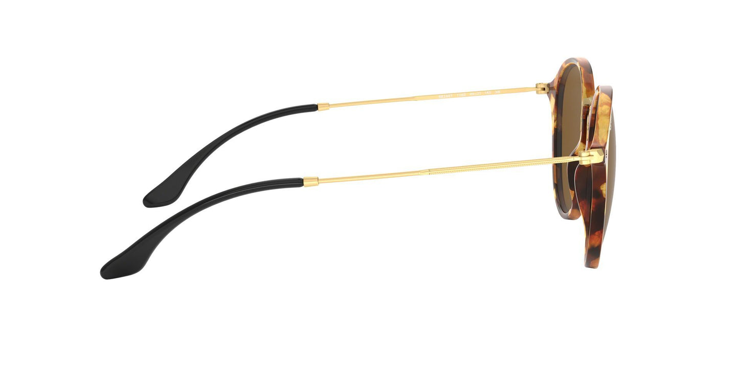 Lentes de Sol Ray Ban RB2447 Havana-Solaris