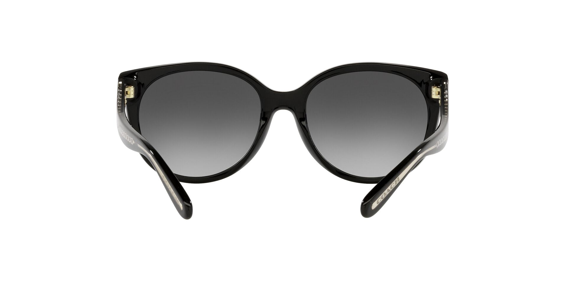Lentes de Sol Coach Negro HC8321-Solaris