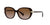 Lente Solar Ralph Lauren RA5277 Havana-Solaris