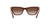 Lente Solar Emporio Armani EA4169 Café