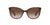 Lentes de Sol Ralph Havana RA5282U-Solaris