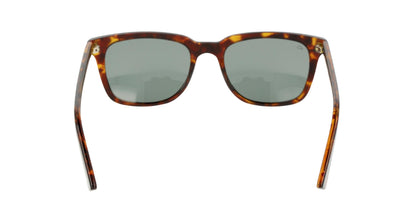 Lentes de Sol Privé Revaux THEDEAN Havana-Solaris