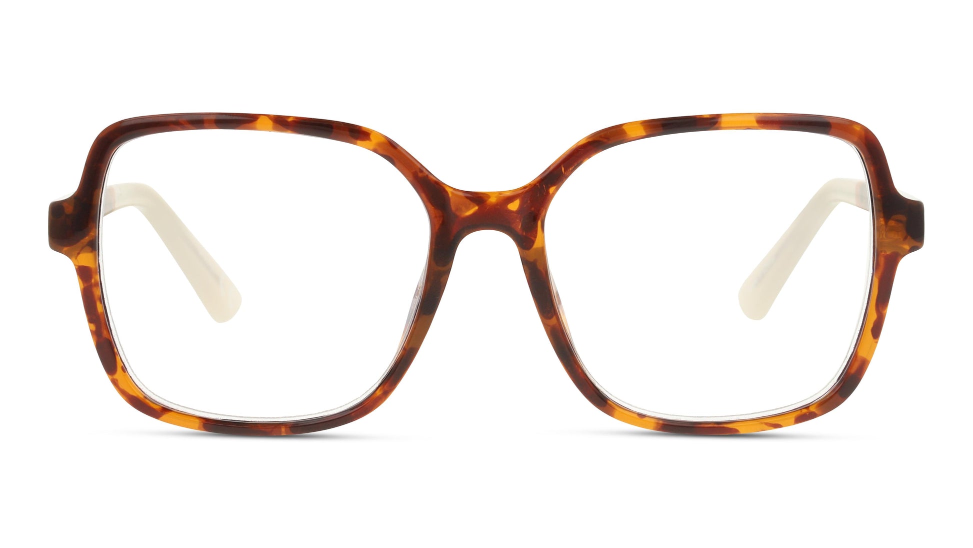 Lentes de Sol Privé Revaux THEBAILEY Havana-Solaris