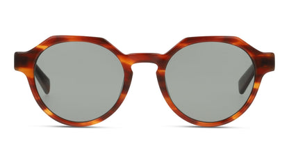 Lente Solar D By D DBSU5003P Havana-Solaris