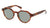 Lente Solar D By D DBSU5003P Havana-Solaris