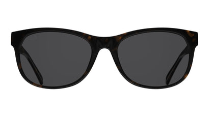 Lente Solar D By D DBSU5001 Havana-Solaris