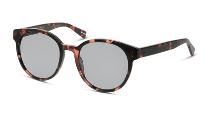 Lente Solar D By D DBSF5004P Havana-Solaris