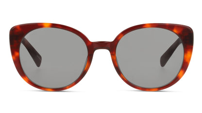 Lente Solar D By D DBSF5010 Havana-Solaris