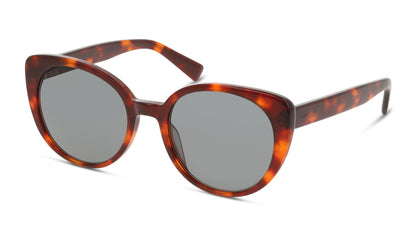 Lente Solar D By D DBSF5010 Havana-Solaris