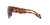 Lentes de Sol Costa Havana 6S9051-Solaris