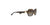 Lentes de Sol Coach HC8241 Café-Solaris