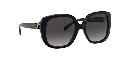 Lentes de Sol Coach HC8292 Negro-Solaris