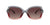 Lentes de Sol Coach HC8295 Gris-Solaris