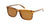Lentes de Sol DbyD DBSM9005P Havana-Solaris