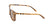 Lentes de Sol DbyD DBSM9005P Havana-Solaris