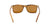 Lentes de Sol DbyD DBSM9005P Havana-Solaris