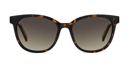 Lentes de Sol Polaroid PL5015S Havana-Solaris