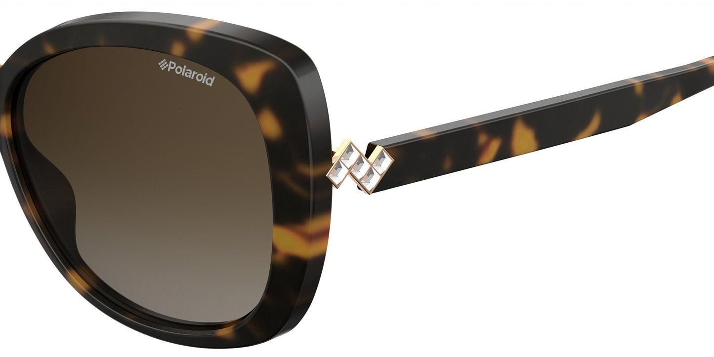 Lentes de Sol Polaroid PLD4063/S/X Havana-Solaris