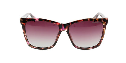 Lentes de Sol Polaroid PLD4078/S/X Havana-Solaris
