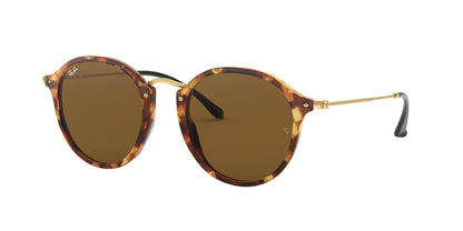 Lentes de Sol Ray Ban RB2447 Havana-Solaris