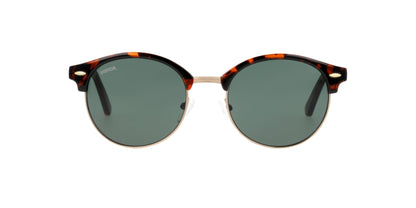 Lentes de Sol Unofficial UNSU0012 Havana-Solaris